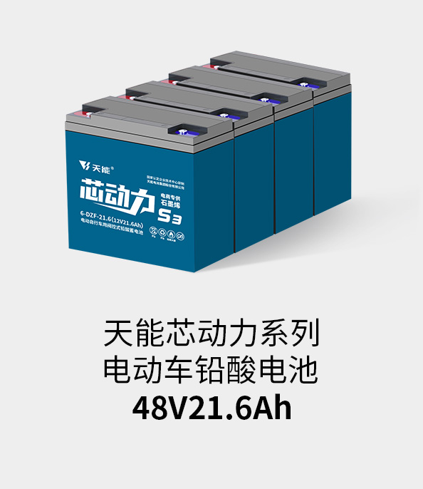 918博天堂电池48v20ah