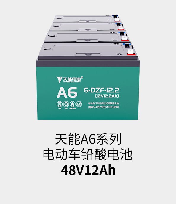 918博天堂电池48v12ah