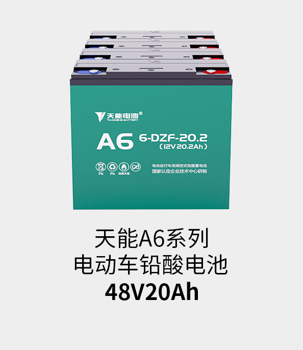918博天堂电池48v20ah